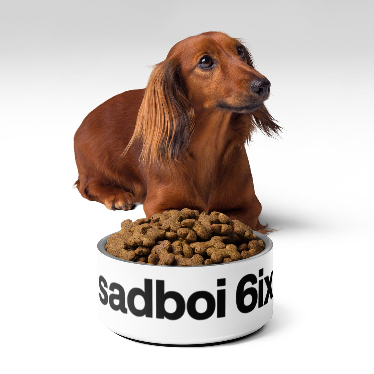 Pet Accessories